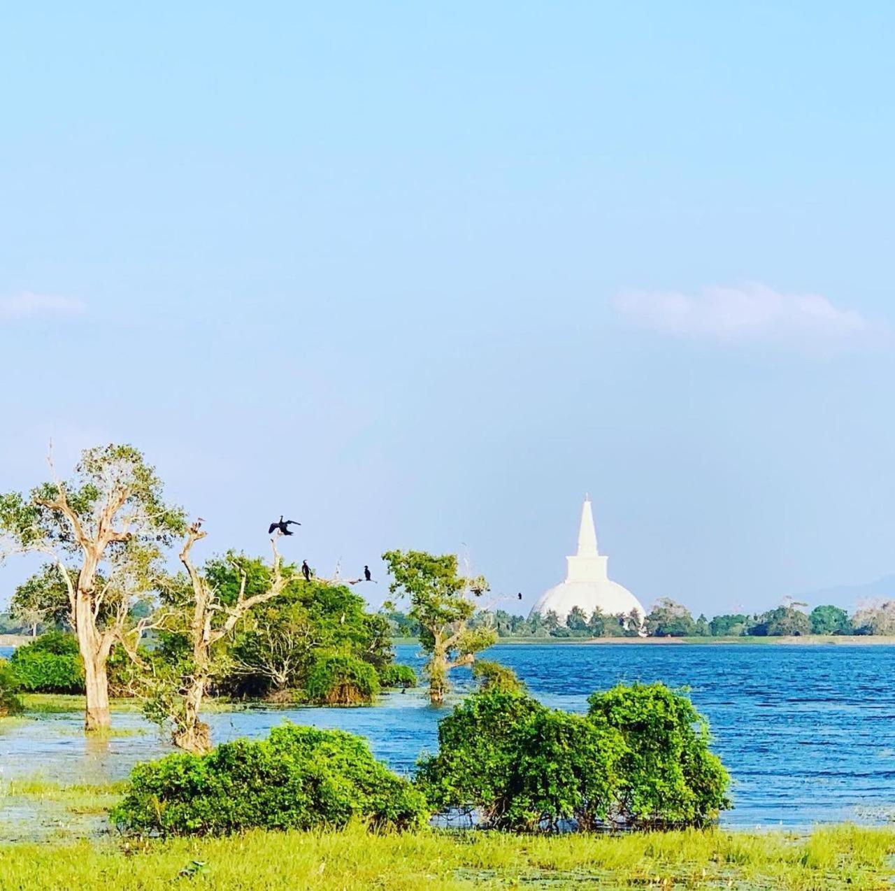 Holiday Homes Anuradhapura Exterior photo